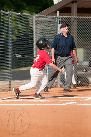 stone_baseball-051413-006