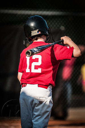 stone_baseball-051413-043